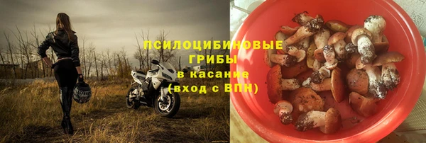 трава Алзамай